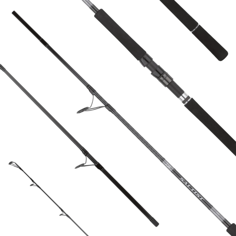 DAIWA 25 SALTIST X SJ 2.95mt 30-100gr